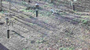 Weather camera view of Cincinnati Nature Center.