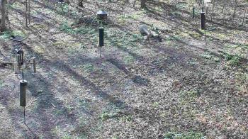 Weather camera view of Cincinnati Nature Center.