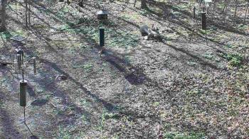 Weather camera view of Cincinnati Nature Center.