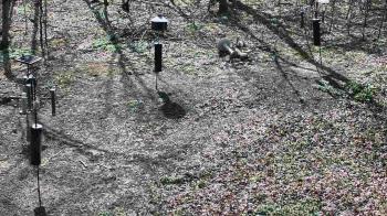 Weather camera view of Cincinnati Nature Center.
