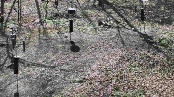 Weather camera view of Cincinnati Nature Center.