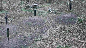Weather camera view of Cincinnati Nature Center.