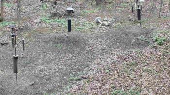 Weather camera view of Cincinnati Nature Center.