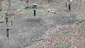 Weather camera view of Cincinnati Nature Center.