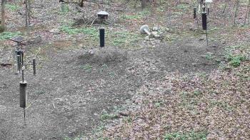 Weather camera view of Cincinnati Nature Center.