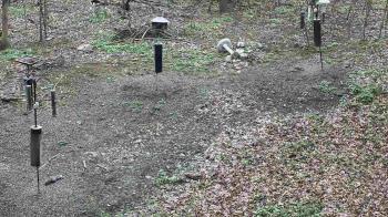 Weather camera view of Cincinnati Nature Center.