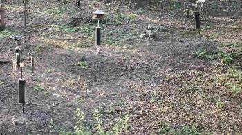 Weather camera view of Cincinnati Nature Center.