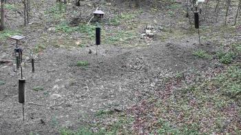 Weather camera view of Cincinnati Nature Center.