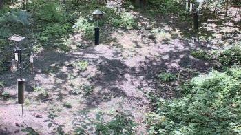 Weather camera view of Cincinnati Nature Center.