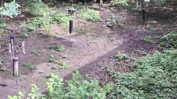 Weather camera view of Cincinnati Nature Center.