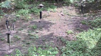 Weather camera view of Cincinnati Nature Center.
