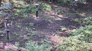 Weather camera view of Cincinnati Nature Center.