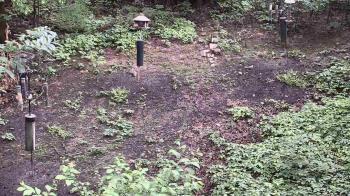 Weather camera view of Cincinnati Nature Center.