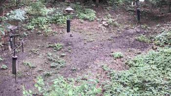 Weather camera view of Cincinnati Nature Center.