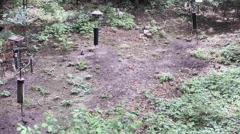 Weather camera view of Cincinnati Nature Center.