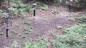 Weather camera view of Cincinnati Nature Center.