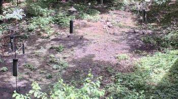 Weather camera view of Cincinnati Nature Center.