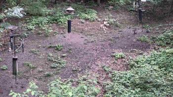 Weather camera view of Cincinnati Nature Center.