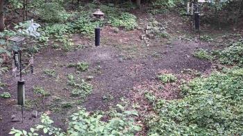 Weather camera view of Cincinnati Nature Center.