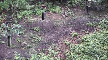 Weather camera view of Cincinnati Nature Center.