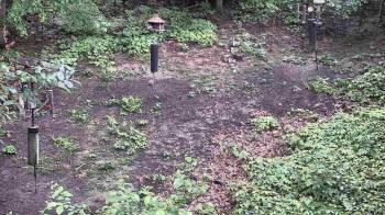 Weather camera view of Cincinnati Nature Center.