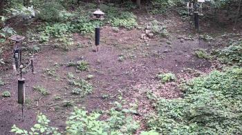 Weather camera view of Cincinnati Nature Center.