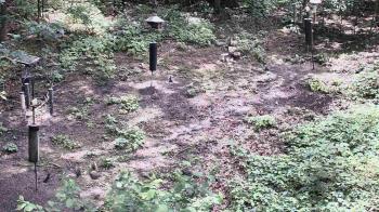 Weather camera view of Cincinnati Nature Center.
