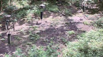 Weather camera view of Cincinnati Nature Center.