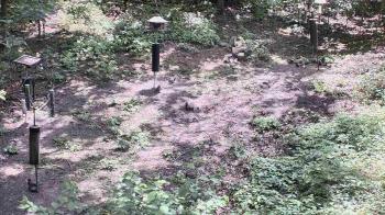 Weather camera view of Cincinnati Nature Center.
