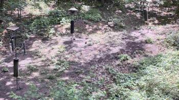 Weather camera view of Cincinnati Nature Center.