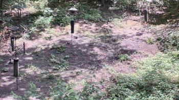 Weather camera view of Cincinnati Nature Center.