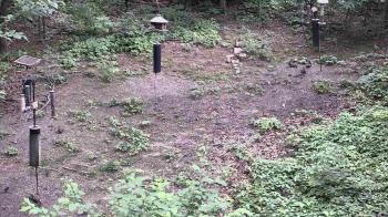 Weather camera view of Cincinnati Nature Center.