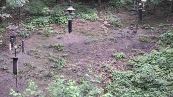 Weather camera view of Cincinnati Nature Center.