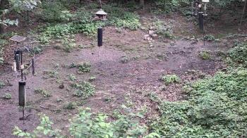 Weather camera view of Cincinnati Nature Center.