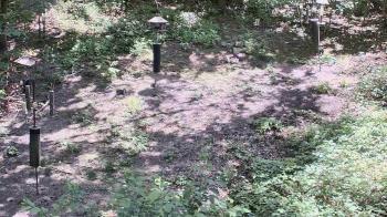 Weather camera view of Cincinnati Nature Center.