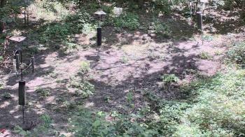 Weather camera view of Cincinnati Nature Center.