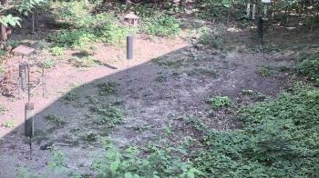 Weather camera view of Cincinnati Nature Center.