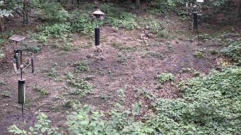 Weather camera view of Cincinnati Nature Center.