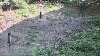 Weather camera view of Cincinnati Nature Center.