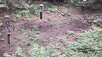 Weather camera view of Cincinnati Nature Center.