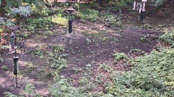 Weather camera view of Cincinnati Nature Center.