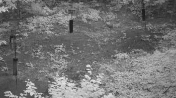 Weather camera view of Cincinnati Nature Center.