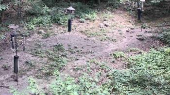 Weather camera view of Cincinnati Nature Center.