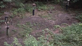 Weather camera view of Cincinnati Nature Center.