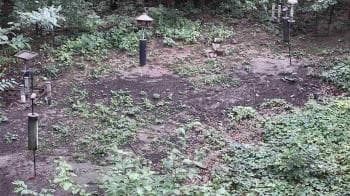Weather camera view of Cincinnati Nature Center.