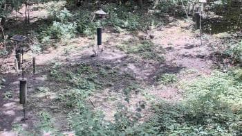 Weather camera view of Cincinnati Nature Center.
