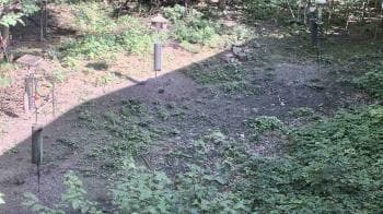 Weather camera view of Cincinnati Nature Center.