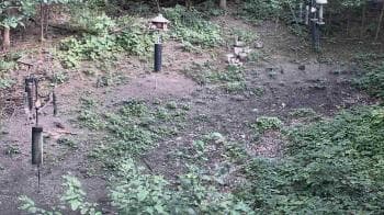Weather camera view of Cincinnati Nature Center.