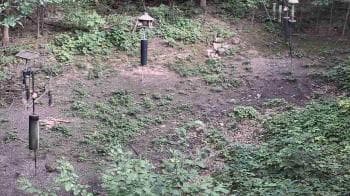 Weather camera view of Cincinnati Nature Center.