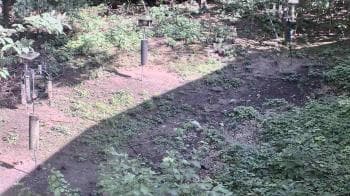 Weather camera view of Cincinnati Nature Center.